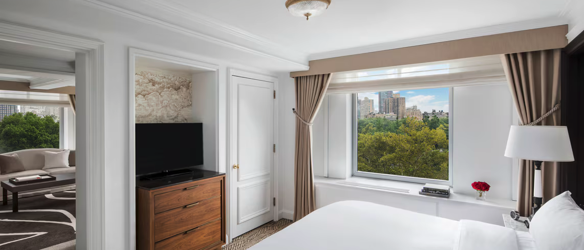 Park View Suite